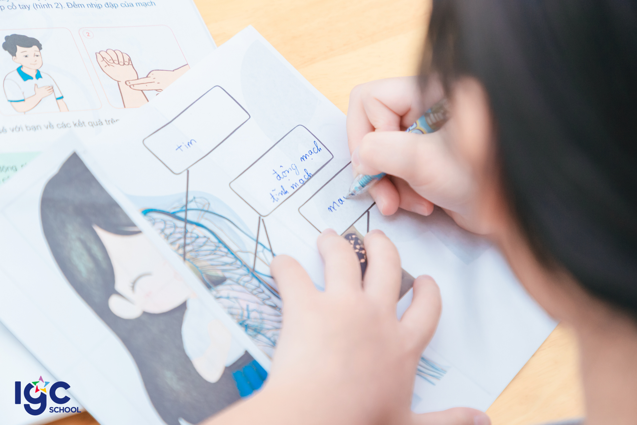 Lớp 3C học tập