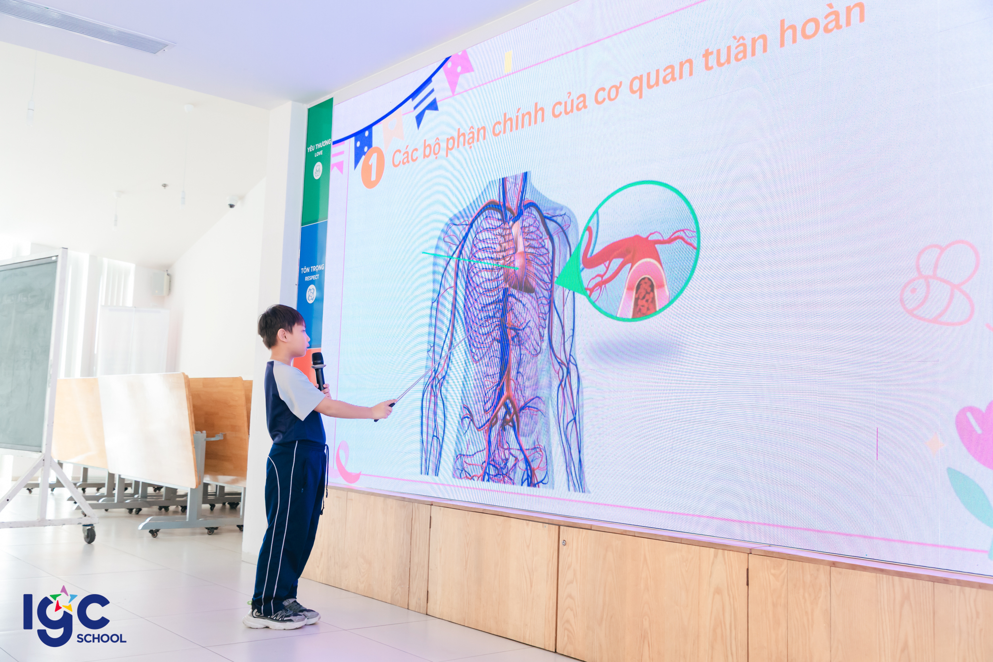 Lớp 3C học tập