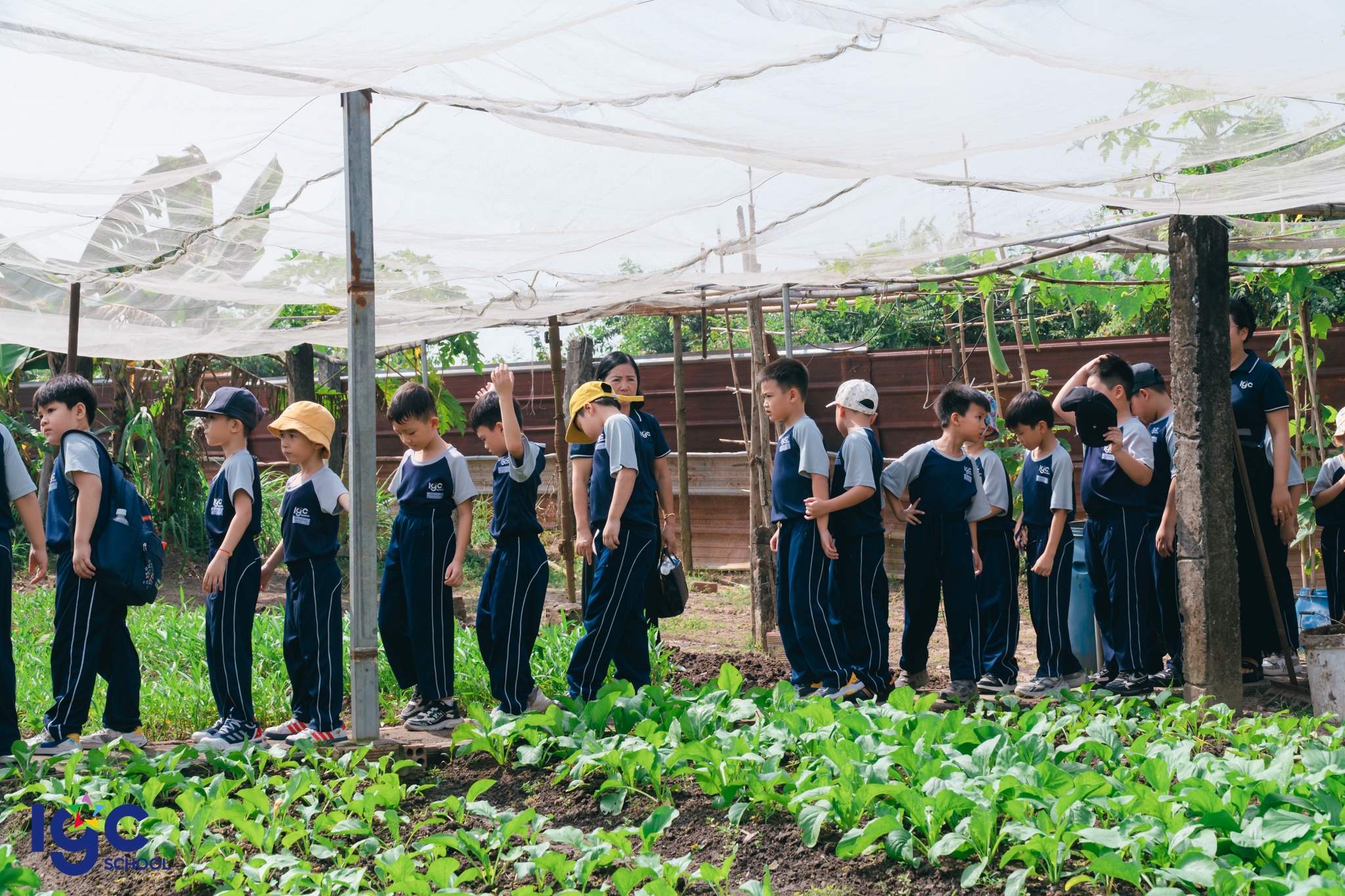 Học sinh xếp hàng