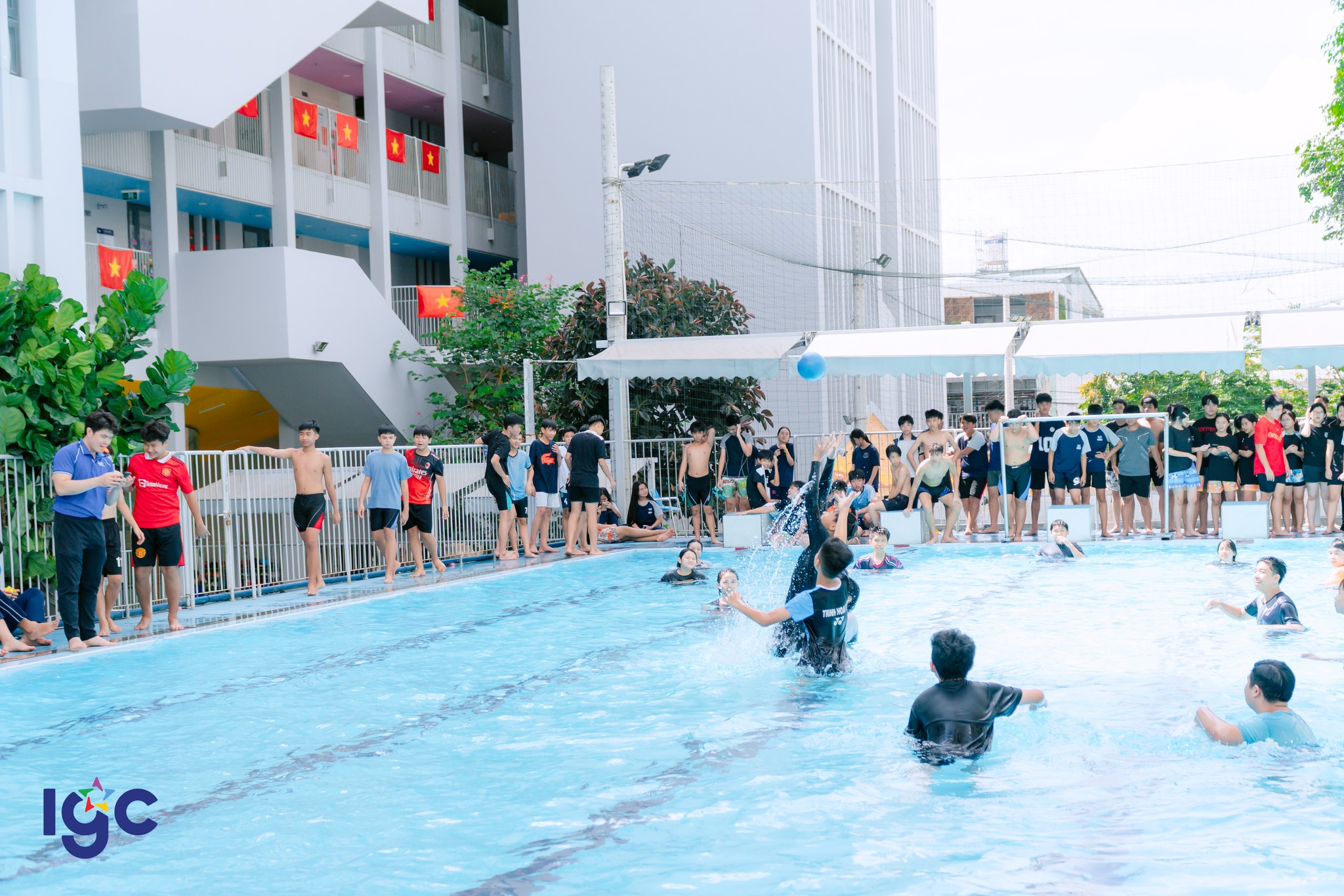 Ngày hội sách và hội hè